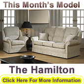 Model of the month - click for details
